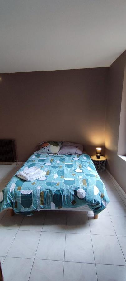 Hypercentre Grand Appartement Lumineux 3 Chambres Parking Agen Ngoại thất bức ảnh